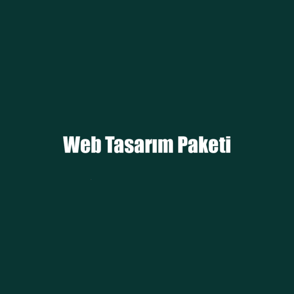 Web Tasarım Paketi